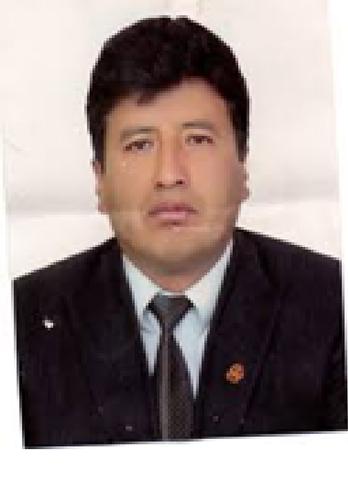 Dr. Wilber Paredes Ugarte DIRECTOR DEPARTAMENTO ACADEMICO